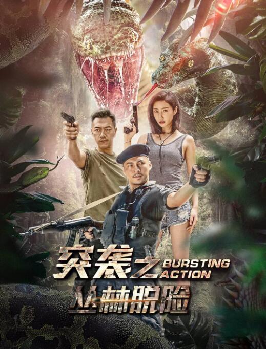 《布吕歇尔号》